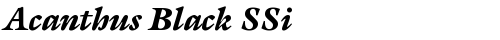 Acanthus Black SSi Bold Italic fonte truetype