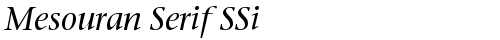 Mesouran Serif SSi Italic truetype font