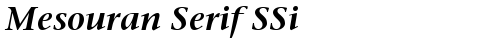 Mesouran Serif SSi Bold truetype font