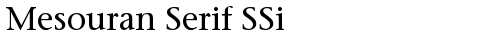 Mesouran Serif SSi Regular truetype font