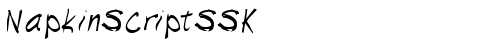 NapkinScriptSSK Regular truetype font
