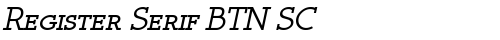 Register Serif BTN SC BoldOblique truetype font